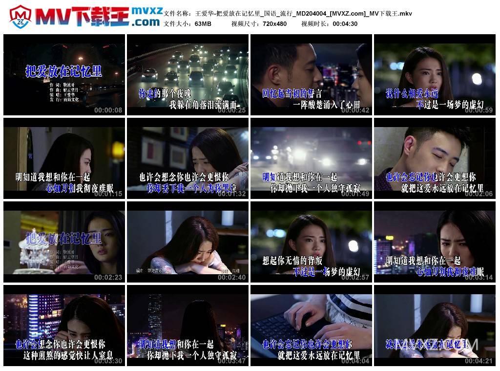 王爱华-把爱放在记忆里_国语_流行_MD204004